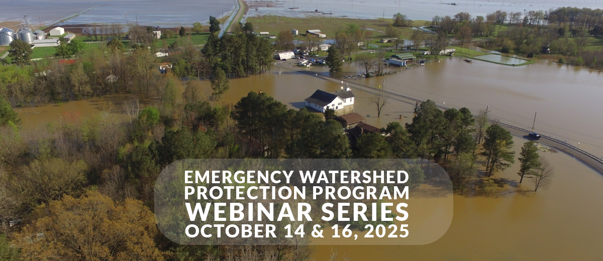 Webinar Preview Image