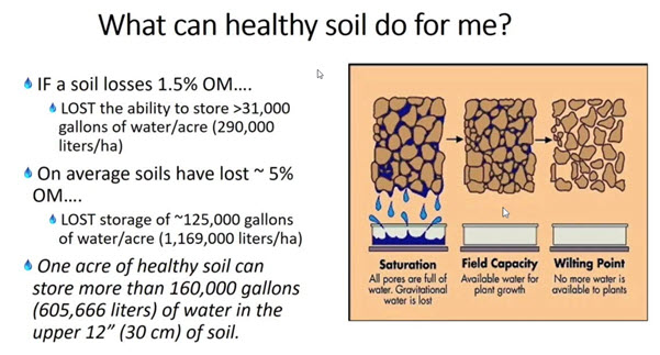 biochar-image